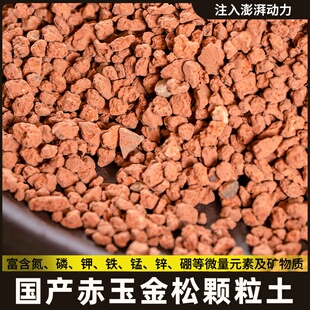 颗粒金松土赤玉土多肉盆景专用铺面颗粒营养土土壤种植泥炭土微土