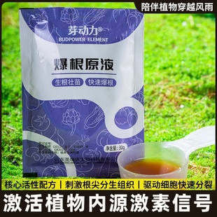 金弹子爆根剂专用生根壮苗水溶肥复活营养粉原液扦插强力猛活力素