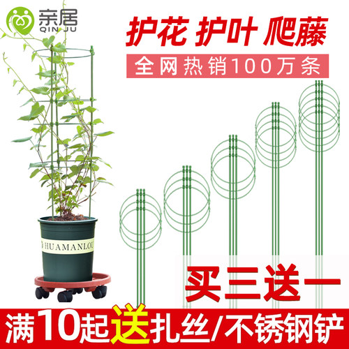 护叶爬藤架月季铁线莲攀爬支架
