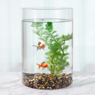 桌面鱼缸玻璃透明水族箱圆形圆柱形金鱼缸小型创意生态造景配饰缸