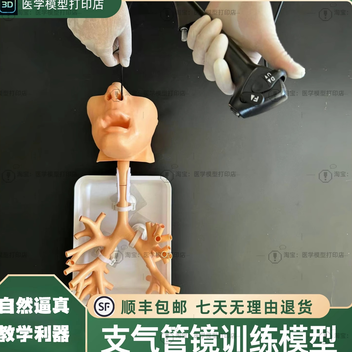 支气管镜训练套装纤支镜训练模型
