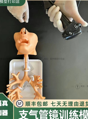 支气管镜训练套装纤支镜训练模型