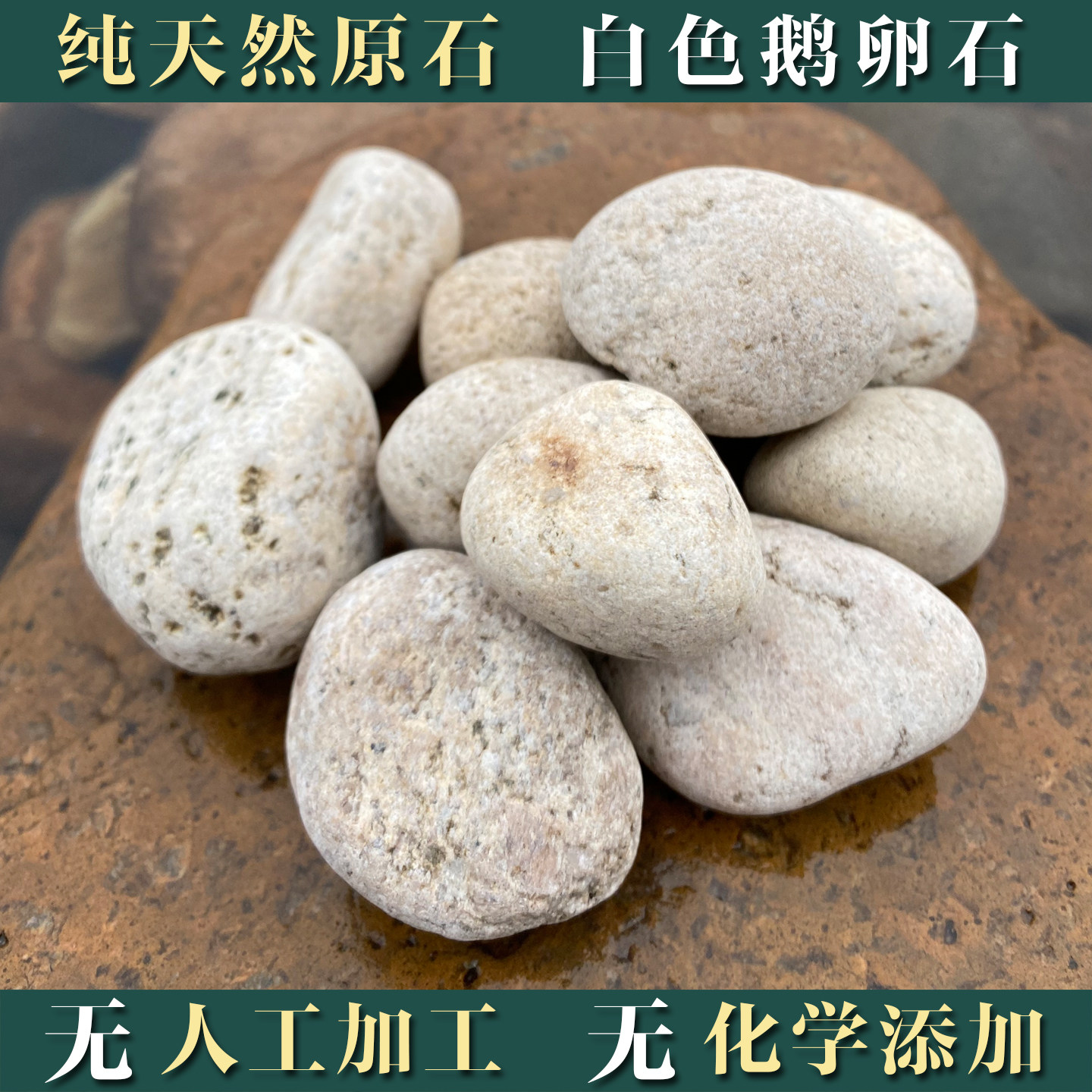 天然小鹅卵石原石鱼缸造景风水白色河卵石花盆乌龟石春铺地小石头
