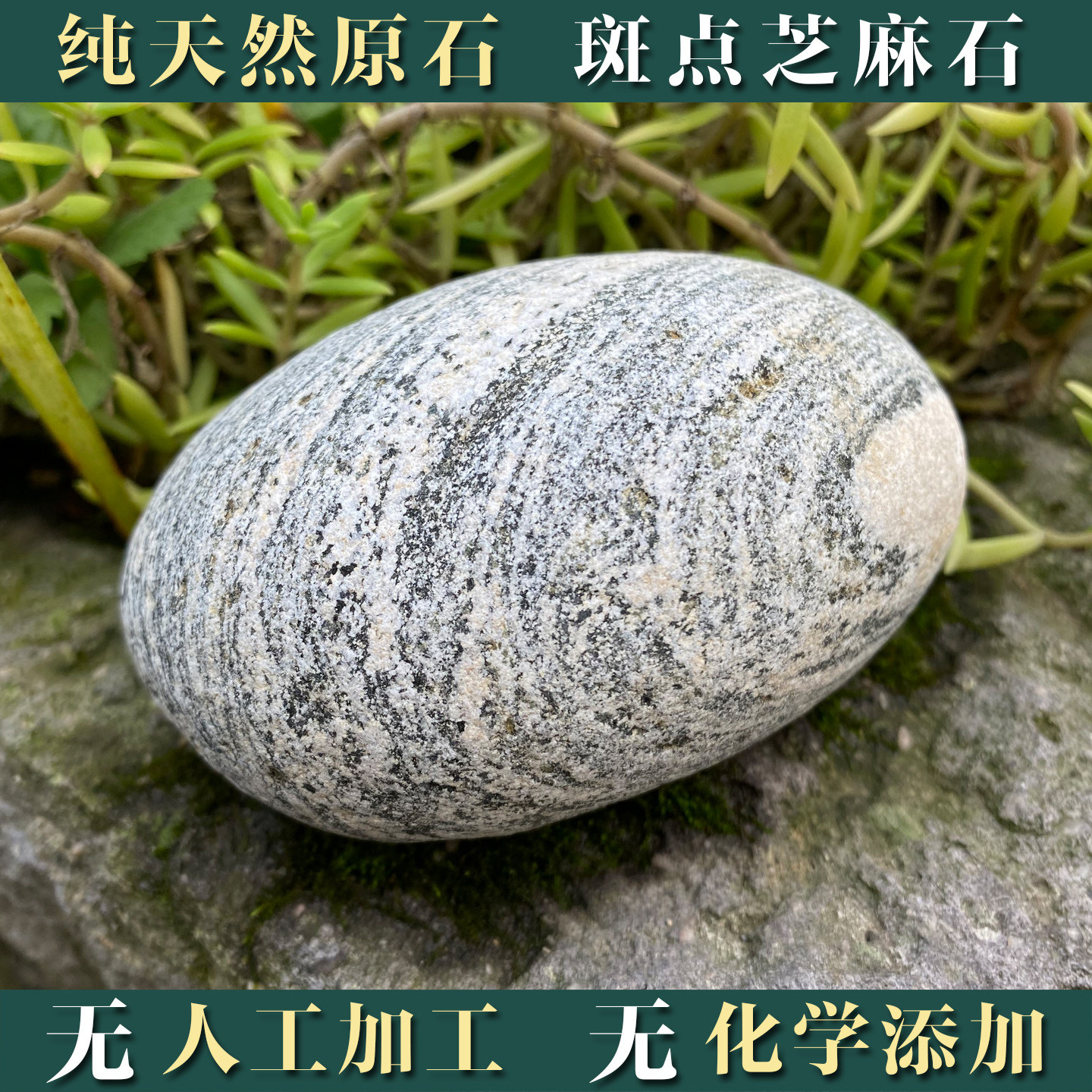 纯天然鹅卵石大石头原石芝麻石斑点花盆乌龟鱼缸造景盆景摆件风水