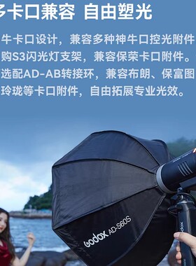 神牛AD300ProII二代外拍闪光灯专业婚礼拍人像拍照单反相机补光灯