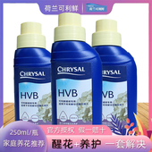 荷兰可利鲜hvb鲜花营养液保鲜剂家庭用办公花店延长花期醒花液粉