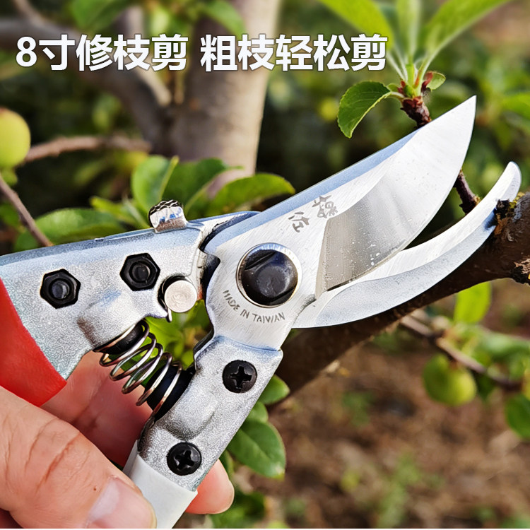樱佐果树修枝剪树枝剪园艺剪刀花剪花艺剪修树剪修枝剪刀