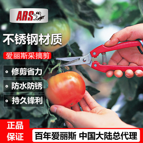 原装进口不锈钢采摘剪ARS/爱丽斯