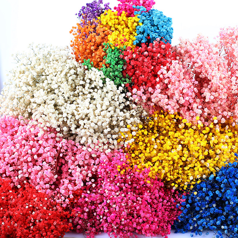 云南满天星干花永生花束干花批发真花鲜花手工基地工厂永生花直发