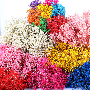 云南满天星干花永生花束干花批发真花鲜花手工基地工厂永生花直发