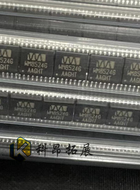 WM8524GEDT/R SOP16 音频数模转换器 全新原装 BOM配单 拍前咨询