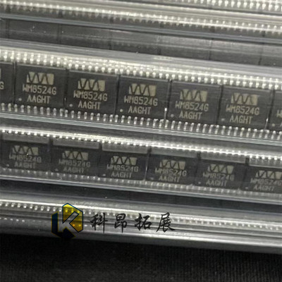 WM8524GEDT/R SOP16 音频数模转换器 全新原装 BOM配单 拍前咨询