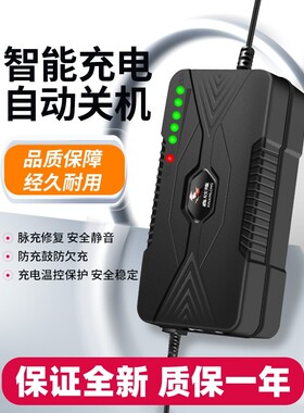 智能型电动车电瓶充电器48V12AH60V20AH72伏30ah40A50A小公插通用