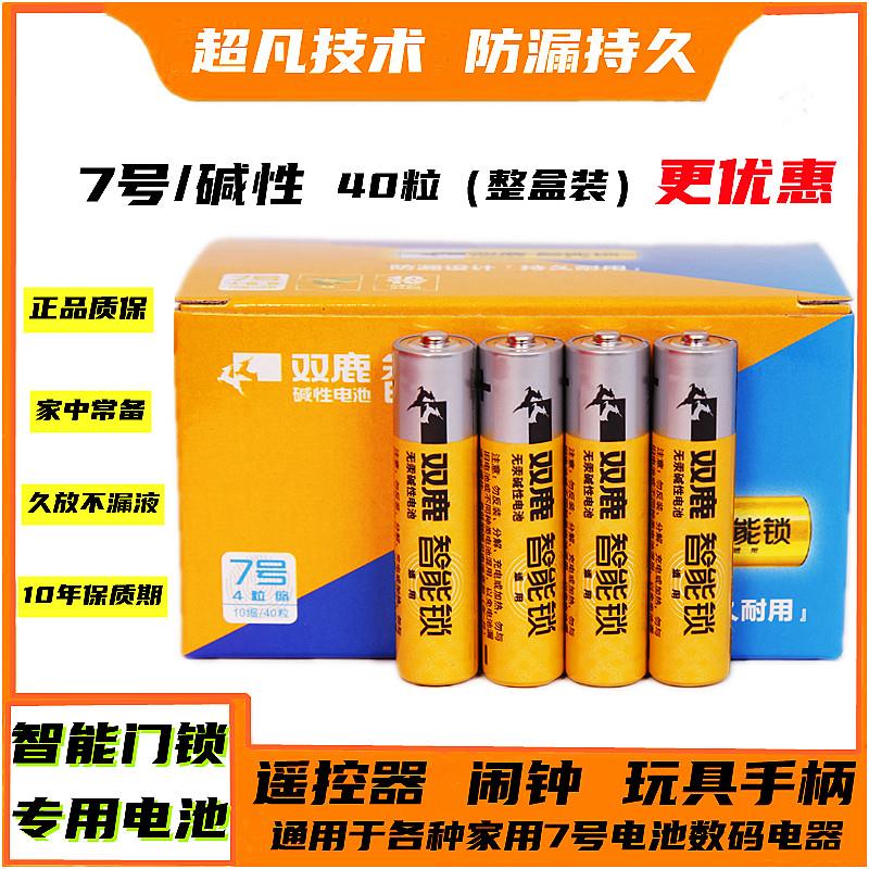 双鹿电子锁指纹密码锁智能门锁专用电池5/7号碱性玩具遥控器鼠标