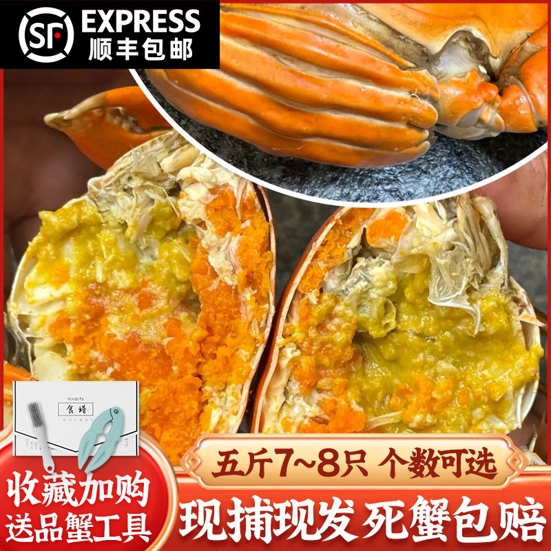 三门青蟹特大超大红膏海捕母蟹特产红鲟海鲜水产礼盒五斤装7-8只