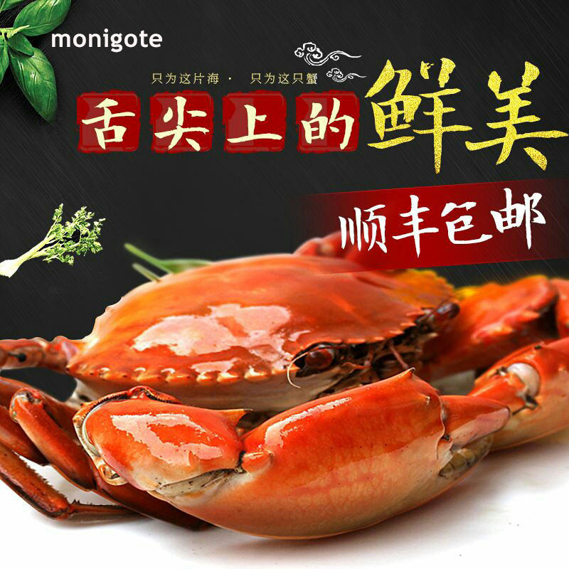 三门青蟹特大超大红膏公母蟹 野外海捕螃蟹 鲜活红鲟海鲜水产礼盒