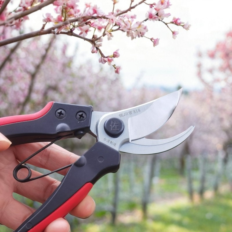 台湾原装佐川吉818修枝剪园林剪刀园艺剪刀专业修剪树枝剪刀花剪,鲜花速递/花卉仿真/绿植园艺,剪刀,淘宝优惠券,粉丝福利购,淘宝优惠卷