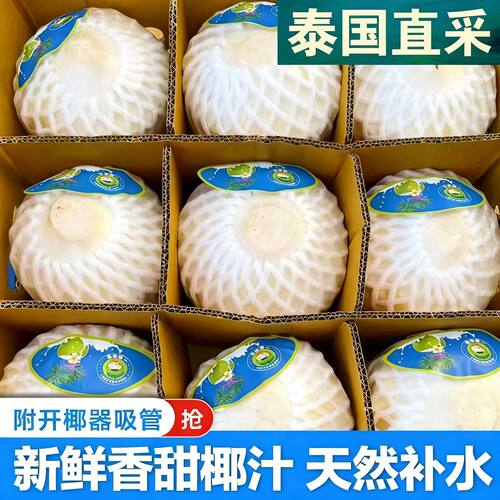 正宗泰国进口椰青新鲜香水椰子大果孕妇水果包邮送开椰器吸管