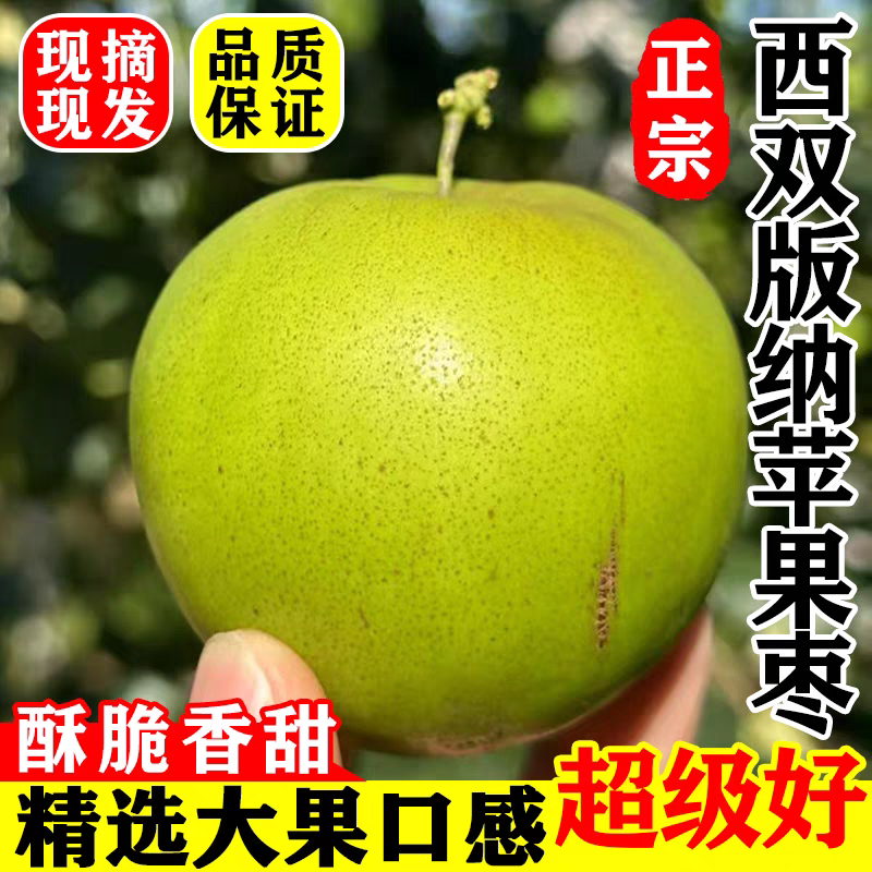 云南西双版纳特大苹果枣酥脆多汁超甜孕妇当季新鲜水果,水产肉类/新鲜蔬果/熟食,枣,淘宝优惠券,粉丝福利购,淘宝优惠卷