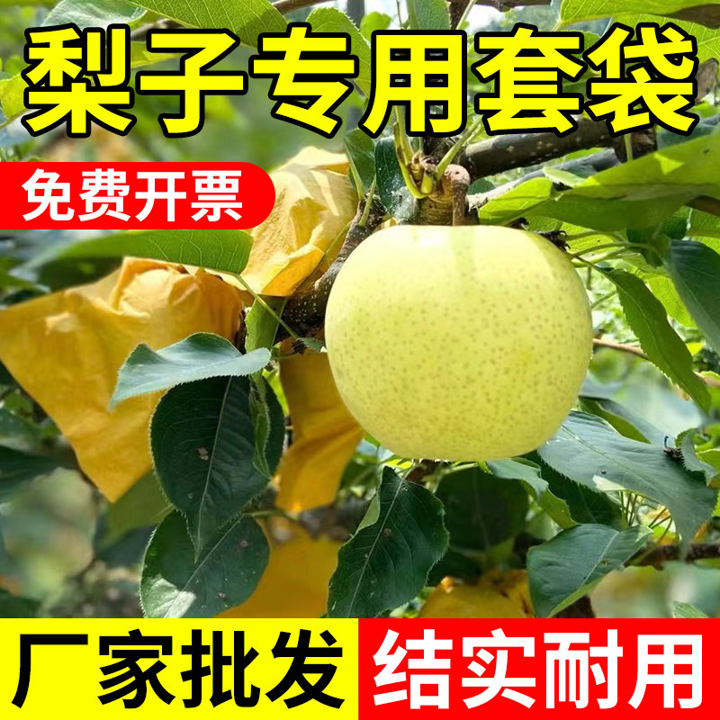 速发梨子套袋专黄袋水果套袋果树梨虫防鸟神器用金防晚秋黄梨袋秋