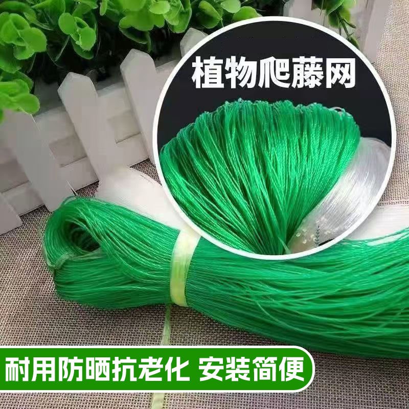 速发植物爬藤网种植攀爬网农用百香果豆角豌豆丝瓜月季耐用搭爬架