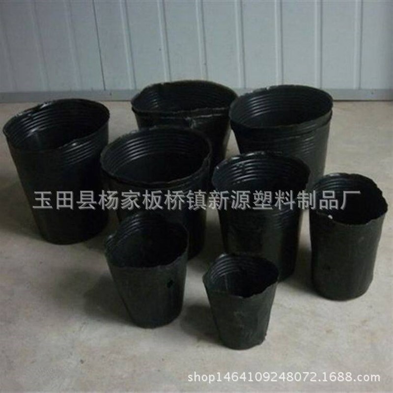 速发供应营养钵5x5营养杯厂家营养钵育苗盆育苗杯营养袋营养盆