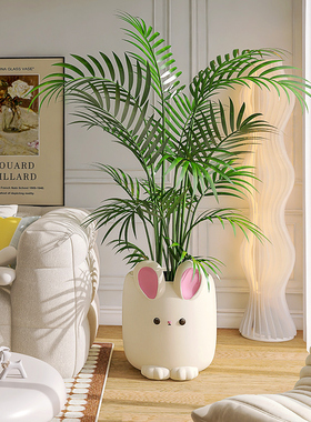 速发视天竹绿色植物客厅摆件大旅型人蕉盆栽电南柜边兔子陶瓷落地