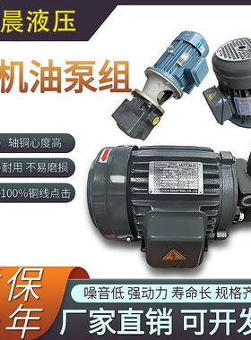 速发液压  油泵组内插式电泵组0.75K5W7.WK-配VP20/VP0/VP40