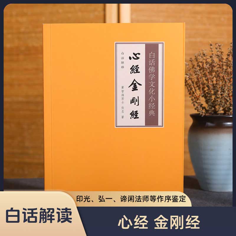 白话解释心经金刚经佛学文化经典