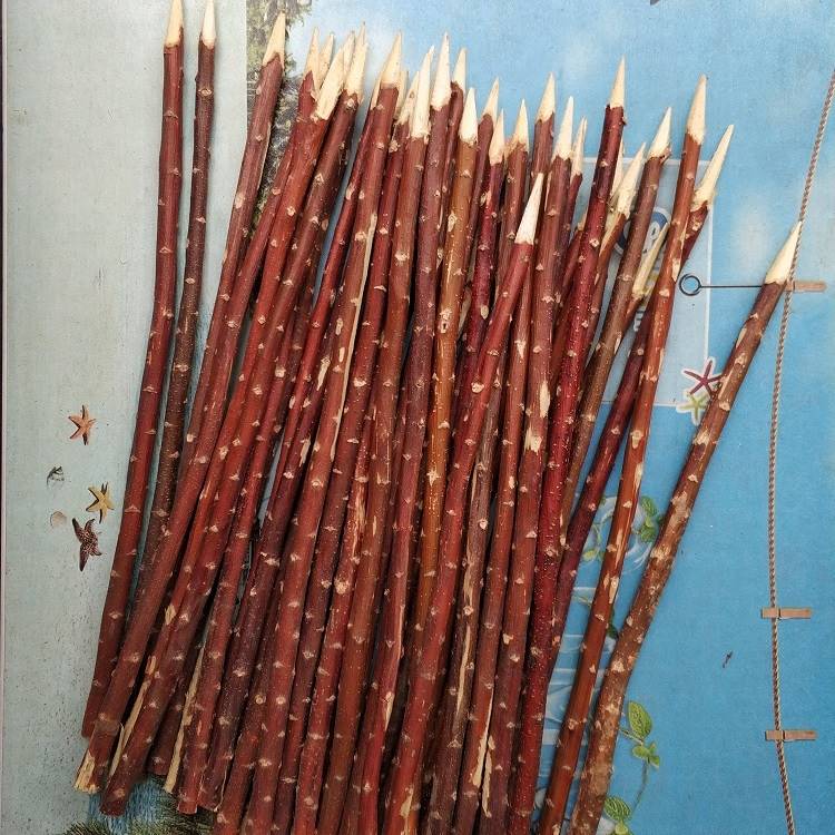 高端红柳木签子肉烤树枝烤肉大串柳条新疆羊烧串签红柳.枝签子奢
