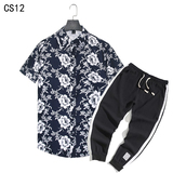 1508-CS12+K522-P45外贸欧美跨境现货短袖衬衫套装夏威夷沙滩衬衣,男装T恤,星座1508-1,四季星座 1508-CS12+K522-P45外贸欧美跨境现货短袖衬衫套装夏威夷沙滩衬衣,男装T恤,星座1508-1,四季星座