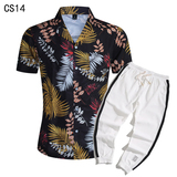 1508-CS14+K522-P45外贸欧美跨境现货短袖衬衫套装夏威夷沙滩衬衣，男装T恤，星座1508-1