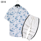 1508-CS18+K522-P45外贸欧美跨境现货短袖衬衫套装夏威夷沙滩衬衣,男装T恤,星座1508-1,四季星座 1508-CS18+K522-P45外贸欧美跨境现货短袖衬衫套装夏威夷沙滩衬衣,男装T恤,星座1508-1,四季星座