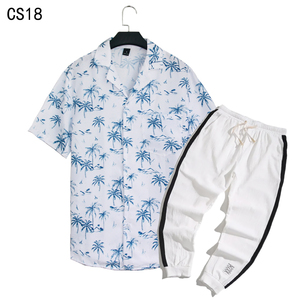 1508-CS18+K522-P45外贸欧美跨境现货短袖衬衫套装夏威夷沙滩衬衣，男装T恤，星座1508-1