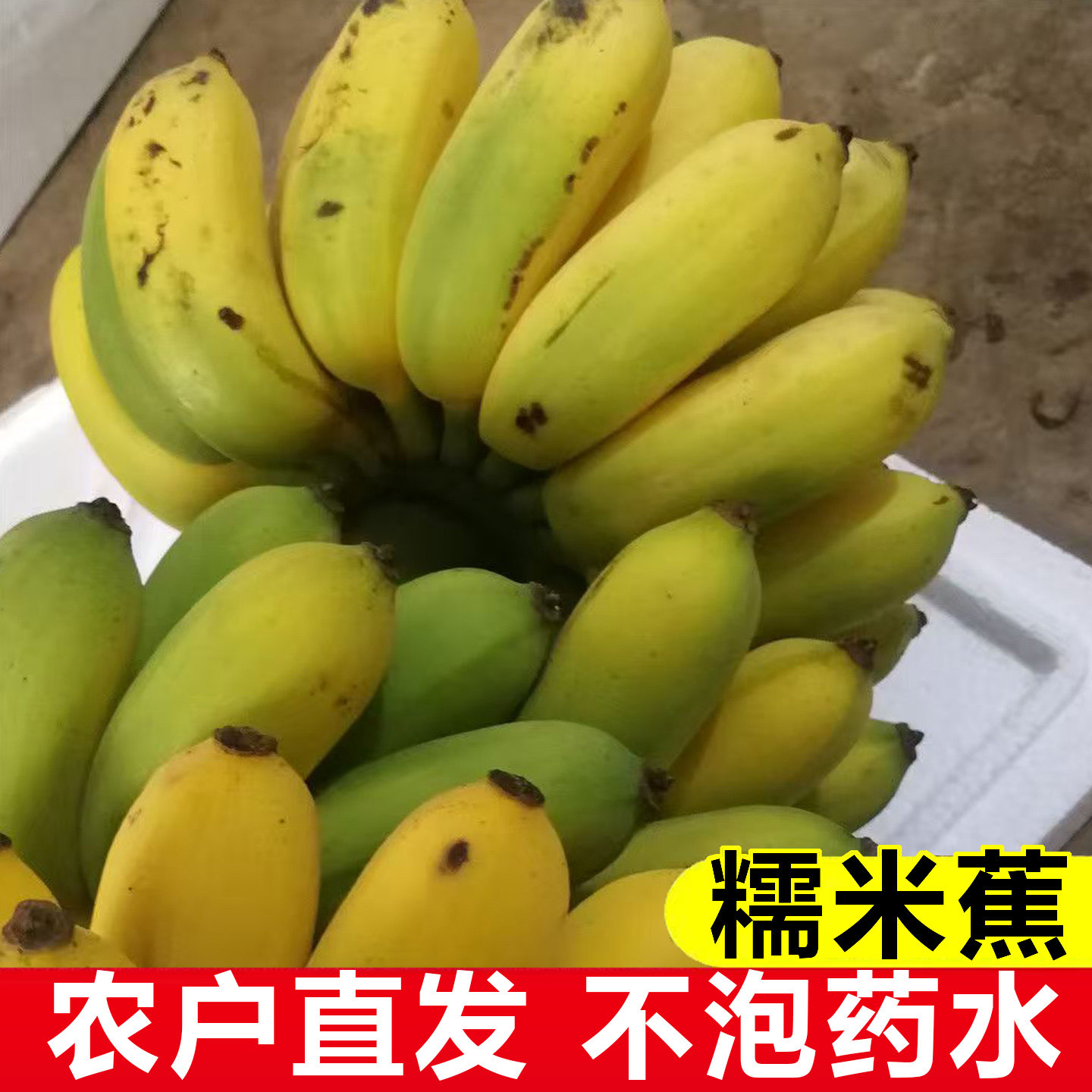 广东糯米蕉自然熟米蕉薄皮小香焦本地香甜糯高州粉蕉无药水农药