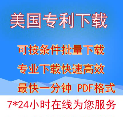 美国欧州专利检索下载 可选择下载首页，著录项，全文PDF