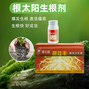 根太阳大树移栽生根剂根壮丰一露绿爆发式强力苗木果蔬等移植扦插
