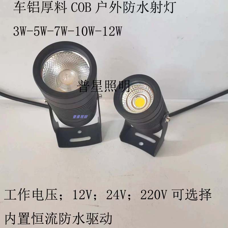 户外防水射灯12V24V照树亮化灯