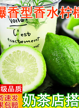 正宗广东无籽爆香水柠檬新鲜青柠檬奶茶店专用鸭屎香一级薄皮现摘