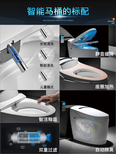 德希顿即热家用坐便器遥控全自动翻盖冲水座便电动一体式 智能马桶