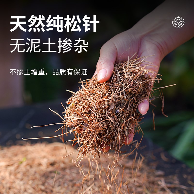 速发纯松针腐熟纯腐殖土发酵垫材君子兰花土养花通用营养土