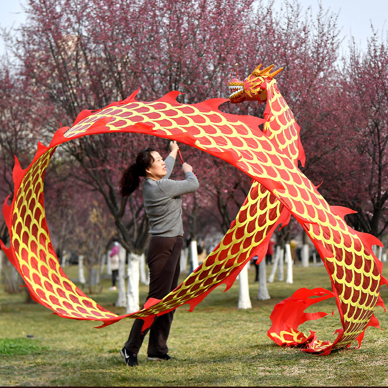 速发甩龙表演道彩具带健身新款中国舞甩龙广场舞飘带成人手甩耍龙