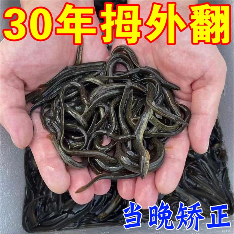 速发拇外翻贴【当天矫正】拇指外翻矫正器大脚骨变形脚趾重叠贴