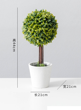 现货速发家居客厅房间装饰品小摆设风植物盆景窗台桌面创意摆件