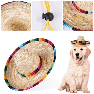 速发Pet wove straw hat eig style xa Hat sprig sumr