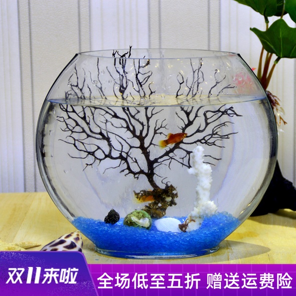 速发扁口透明扁璃缸玻圆桃形水培玻璃花瓶绿箩家居摆件扁形鱼缸