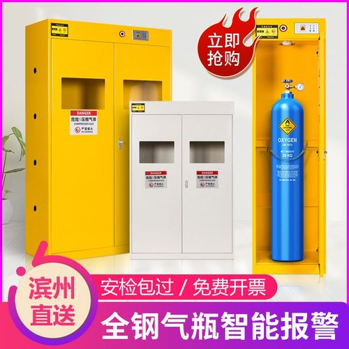 速发滨州防斯气瓶柜安全柜实验室双瓶瓦爆罐乙炔氮气氢存体钢瓶储