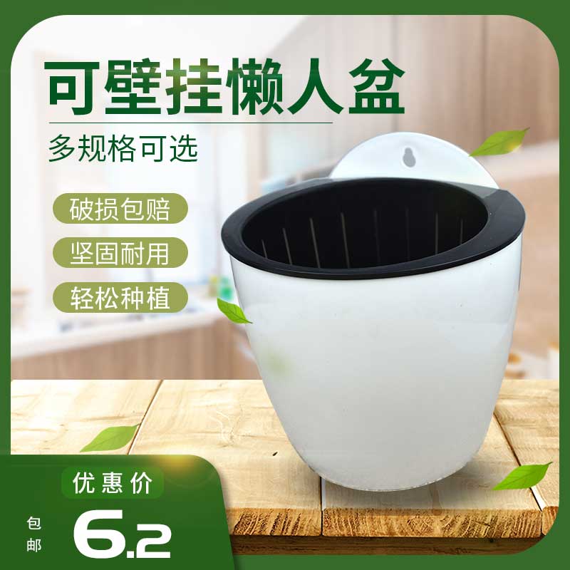速发壁挂简植盆水养塑料懒约欧式垂吊地面桌面绿人花卉