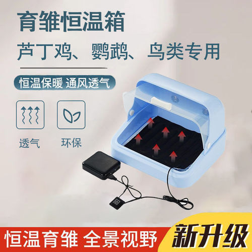 速发育雏恒温箱芦丁鸡饲养箱手养鹦鹉外出保温箱幼鸟鸽子保温盒子
