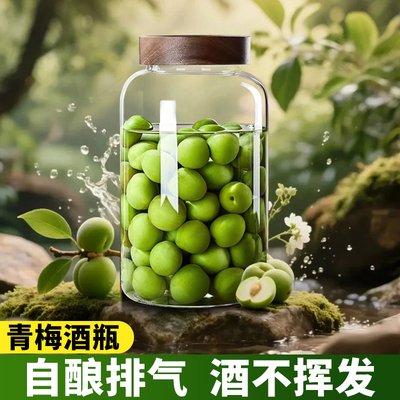 青梅酒瓶荔枝泡酒专用酒瓶果酒专用玻璃瓶密封容器杨梅青梅汁罐子